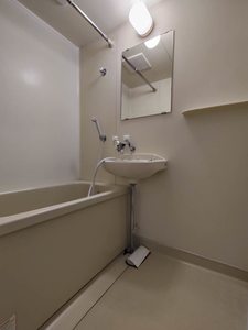 パスチャーＭ 0203号-3