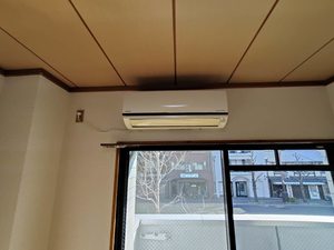 パスチャーＭ 0203号-10