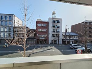 パスチャーＭ 0203号-12