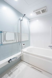 シャーメゾン　ボナンザ 0203号-8