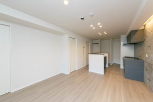 シャーメゾン　フェレザ 0105号-2