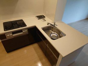 ロマンレジデンス 0305号-5