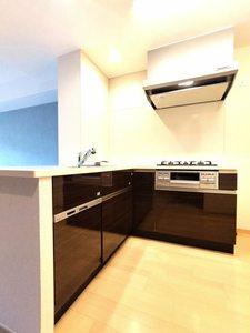 ロマンレジデンス 0306号-5