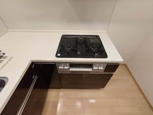 ロマンレジデンス 0306号-6