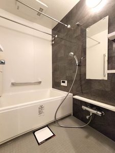 ロマンレジデンス 0306号-7