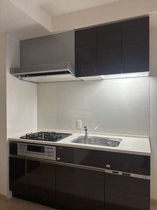 ロマンレジデンス 0403号-5