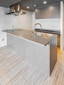 シャーメゾンステージ香櫨園 0202号-8