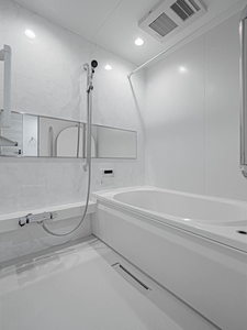 シャーメゾン ルミエール 0202号-4