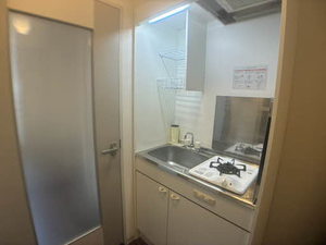 ピルツェＫＭ 0205号-6