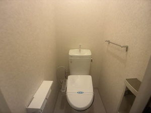 ピルツェＫＭ 0205号-8