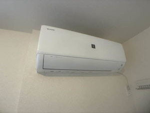 ピルツェＫＭ 0205号-10