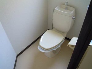 コスモハイツ・イシバシ 0102号-3