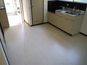 コスモハイツ・イシバシ 0102号-7