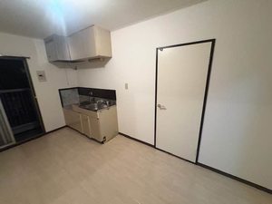 タウニーモイスン B102号-3