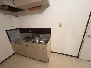 タウニーモイスン B102号-4