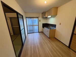 タウニーモイスン B205号-3