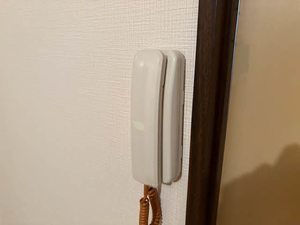 タウニーモイスン B205号-15