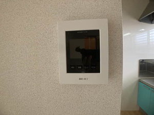 ハイツハル A201号-13