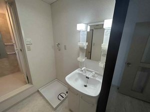 リーベンハイム 0101号-8