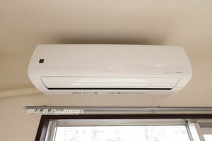 ハイツクレモナ 0202号-13