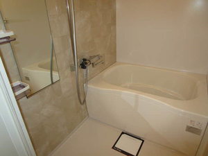 アスターＩ B202号-4