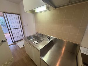 グリーンヒルハイツ 0201号-4