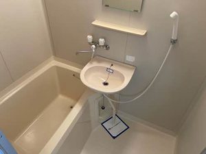 グリーンヒルハイツ 0207号-10