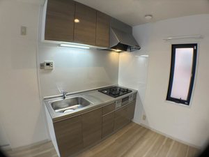 アスターⅢ D101号-3