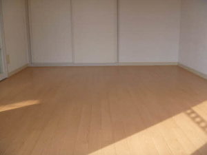 ＡＤＩＳＨＩＯ（アディシオ） 0207号-5