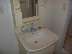 ＡＤＩＳＨＩＯ（アディシオ） 0207号-7