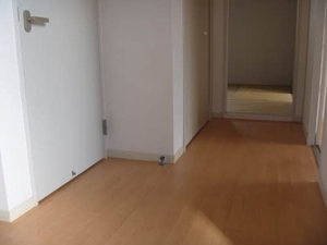 ＡＤＩＳＨＩＯ（アディシオ） 0207号-10