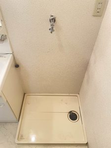 パストラルカーサ 0108号-11