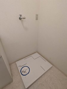 ハイツ華の元 B101号-14