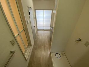 ディアスＴ＆Ｔ 0203号-8