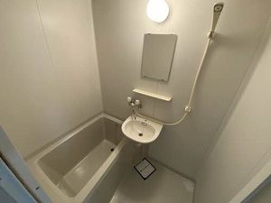 ディアスＴ＆Ｔ 0203号-10