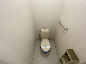 ディアスＴ＆Ｔ 0203号-11