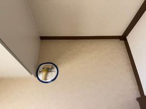 サンドーモA棟 A201号-11