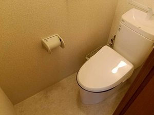 タウンコート中宮 0302号-3