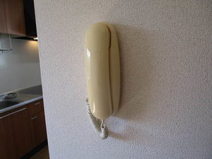 ヴィラ　パストラル 0201号-11