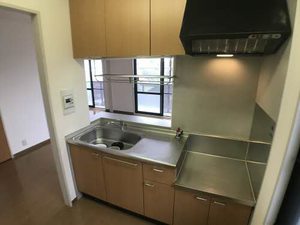 サングレイス 0205号-4