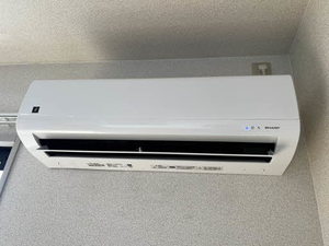 サングレイス 0205号-11