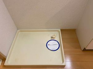 Ａｖｅｎｕｅ　Ｋ 0102号-11