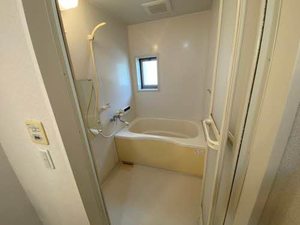 パステルコート 0201号-10