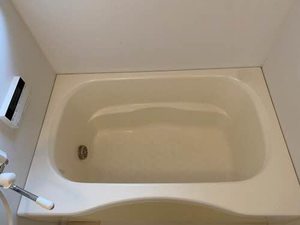 パステルコート 0201号-11