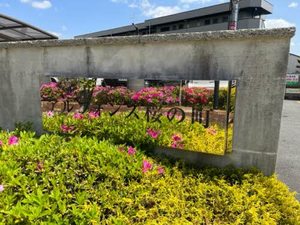 アルフォンス・桜の町 0107号-2