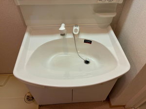 カサヴェルデ A102号-15