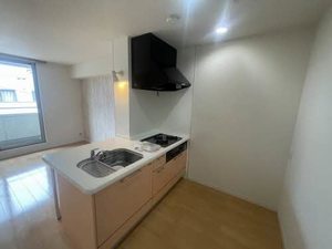 シャーメゾン　阿月 0305号-3