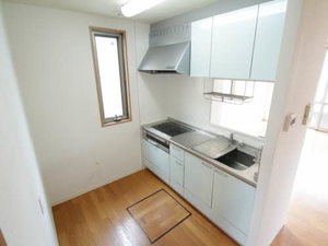 セレスティアル一庫 B102号-3