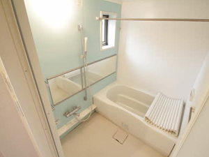 セレスティアル一庫 B102号-9