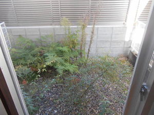 ヴィラホワイト 0103号-9